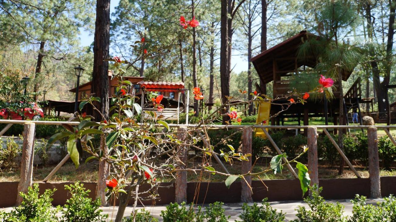 Rincon Del Bosque Otel Mazamitla Dış mekan fotoğraf